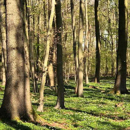 Lejlighed Storchennest - Erholung Fuer Naturliebhaber Auhagen